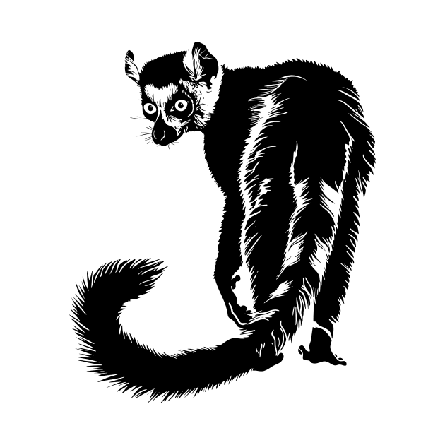 Lemur by erzebeth