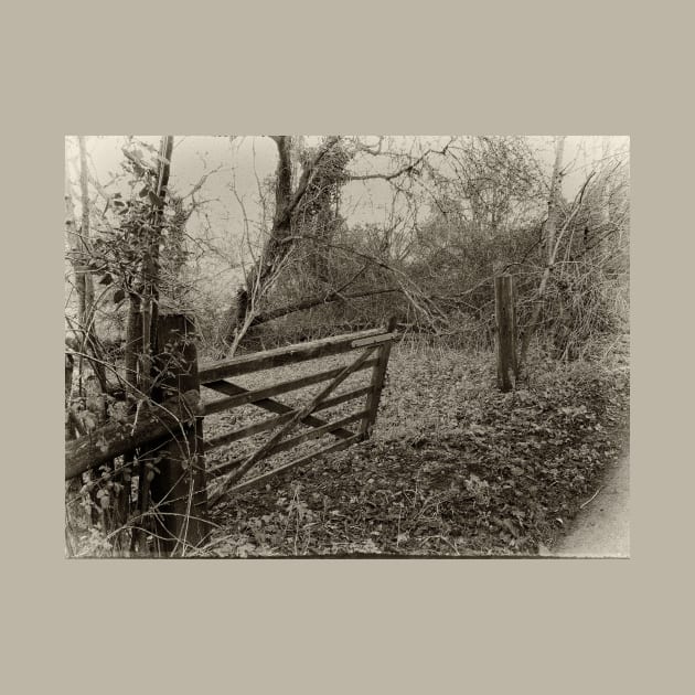 A rustic dilapidated farm gate. by stevepaint