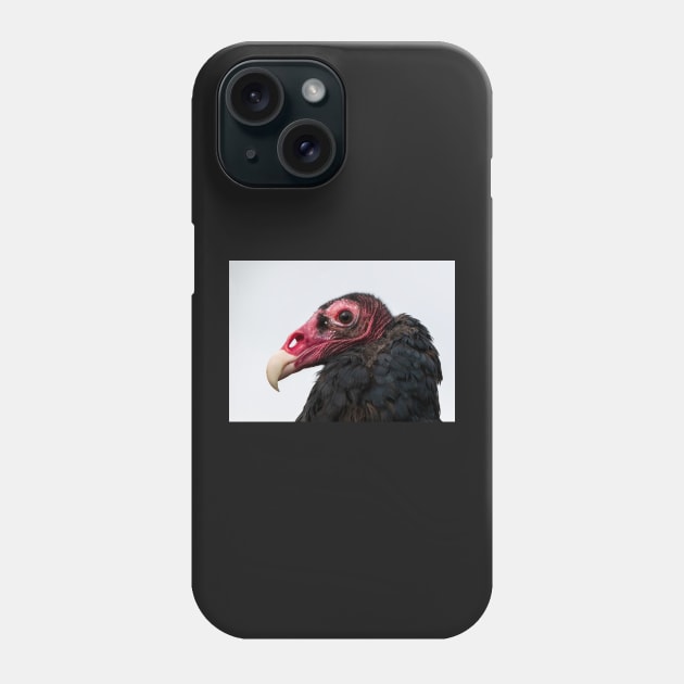 Scavenger Phone Case by gdb2