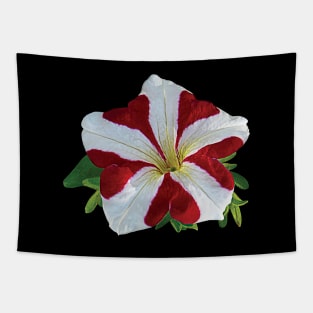 Petunias - Red and White Petunia Tapestry