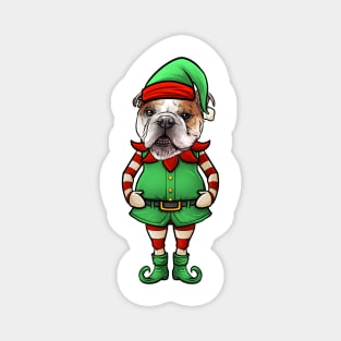 Bulldog Christmas Elf Magnet