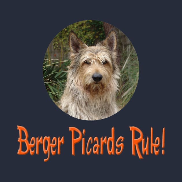 Berger Picards Rule! by Naves