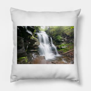 Ricketts Glen Pillow