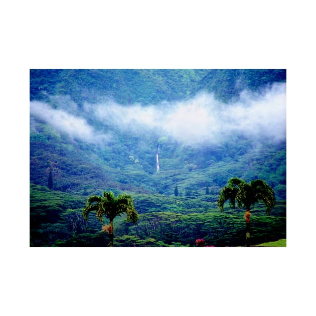 Manoa Valley Mist by Sky Studio Hawaii