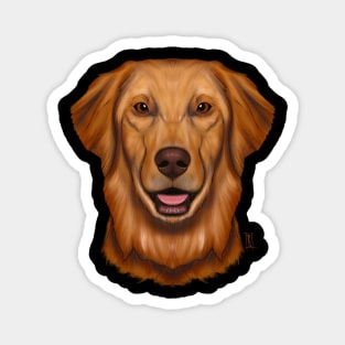 Golden retriever Magnet