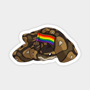 Ball Python Pride Flag Magnet