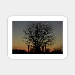 Kansas Sunset with a Tree and Fence Silhouette's. Magnet