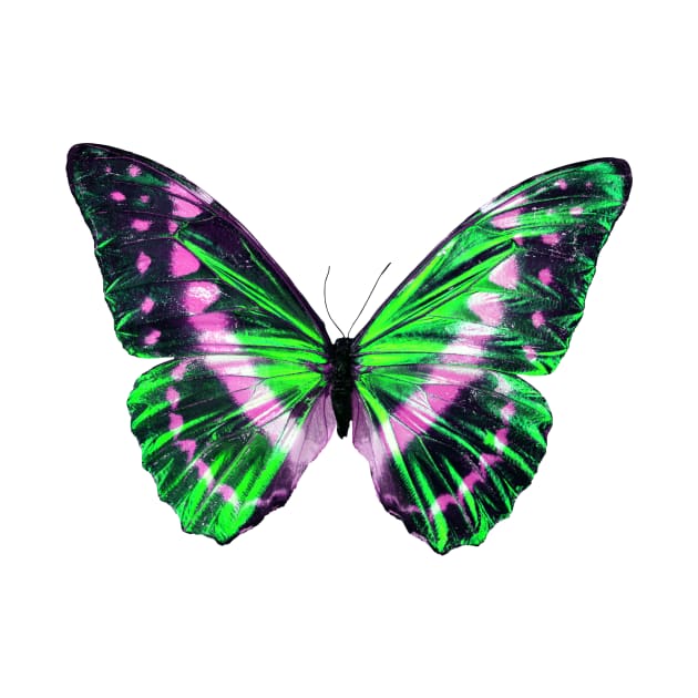 green butterfly by Artbychb