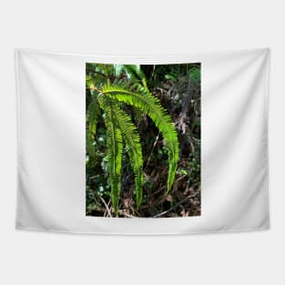 Fern Tapestry