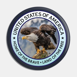 United States Pin