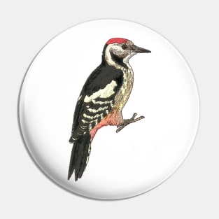 Middle spotted Woodpecker Pin