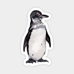 Galapagos Penguin Magnet