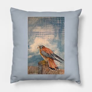 Time Traveling Hawk Pillow