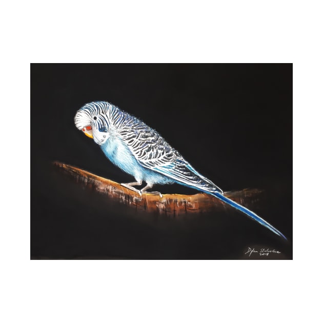 Budgie by dylanshelmerdine