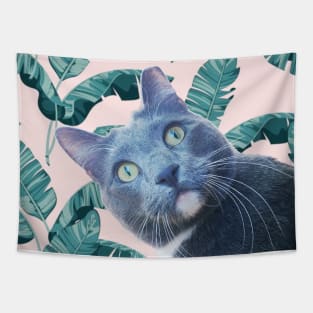 Summer of Roger the Cat Pastel Pink Palm Leaves Tapestry