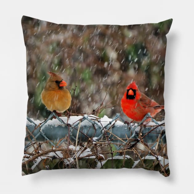 Winter Male and Female Cardinals Sitting On A Fence In A Snowstorm Pillow by BackyardBirder