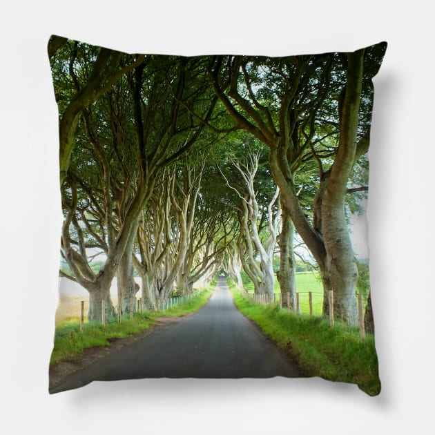 The Dark Hedges, Northern Ireland Pillow by Ludwig Wagner