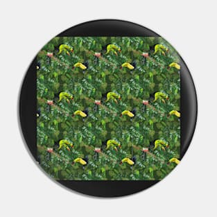 jungle life, toekan birds Pin