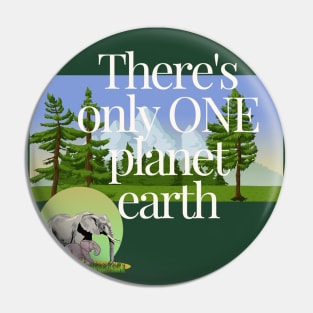 One Planet Earth Pin