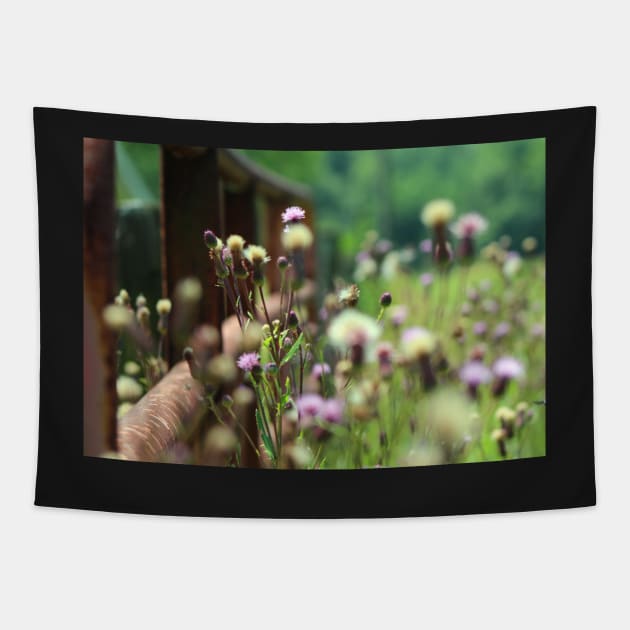 Summer Hazy Lazy Days of Nature Soft Focus Design face masks, Phone Cases, Apparel & Gifts Tapestry by tamdevo1