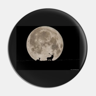 stags by the moon Pin