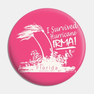 Hurricane Irma Survivor Pin