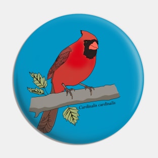 Northern cardinal Pin