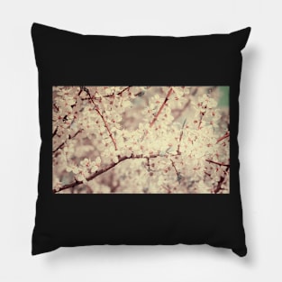 White Cherry Plum flowers Pillow