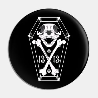 Black Cat 13 Pin