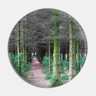 The path through the trees Pin