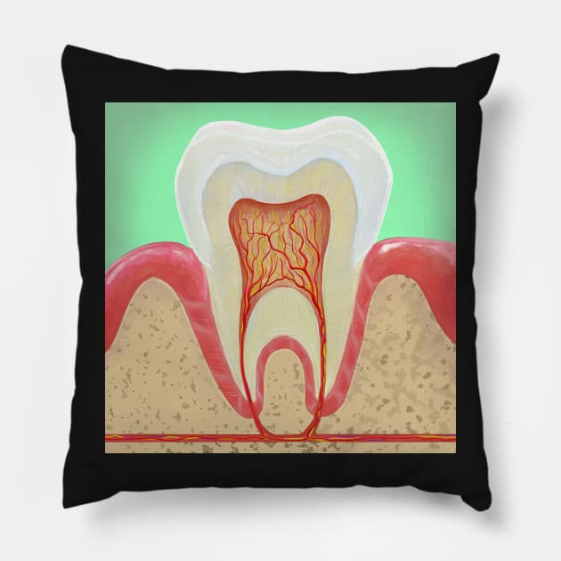 Medical illustration Tooth Anatomy Pillow by KO-of-the-self