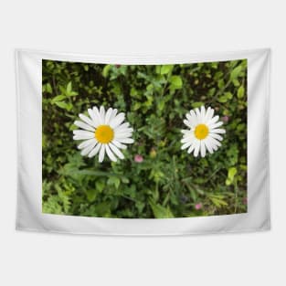 Two Daisies in the Meadow Tapestry