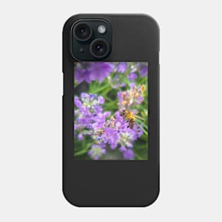 Honey bee on a purple lavender flower Phone Case