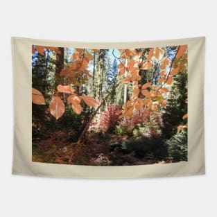 Fall foliage, autumn, scenery, nature, gifts Tapestry