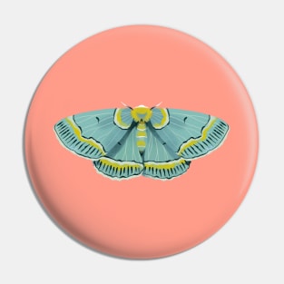 Moth No.5 Pin