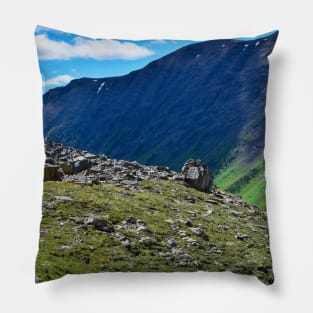 The Hills are Alive. Pillow