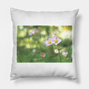 Pastel Pink Anemone Flowers and Happy Sunshine Pillow