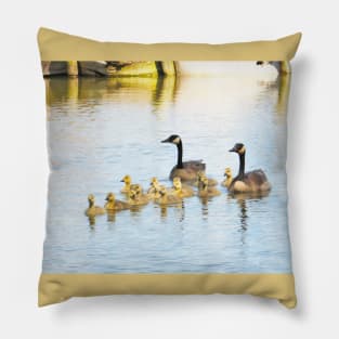 Family Afloat Canada Geese & Goslings No.1 Pillow