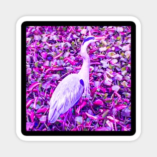 Tropical Exotic Bird Florida Wildlife Psychedelic Nature Magnet