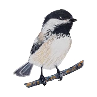 Chickadee Drawing 2 (no background) T-Shirt