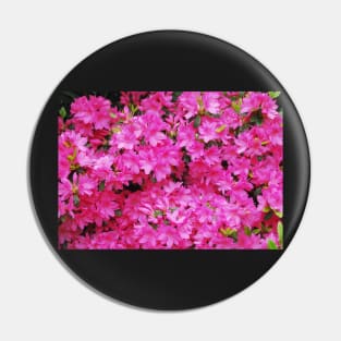 Pink Azalea Flowers Pin