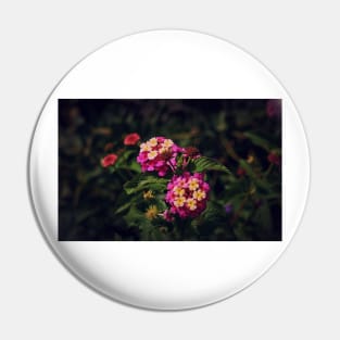 Lantana In Bloom Pin