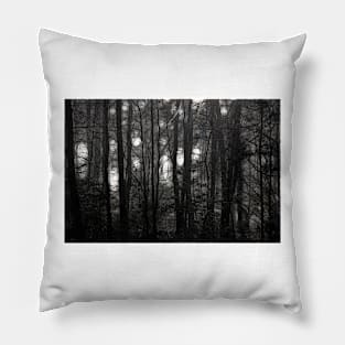 Into Dark Woods Pillow