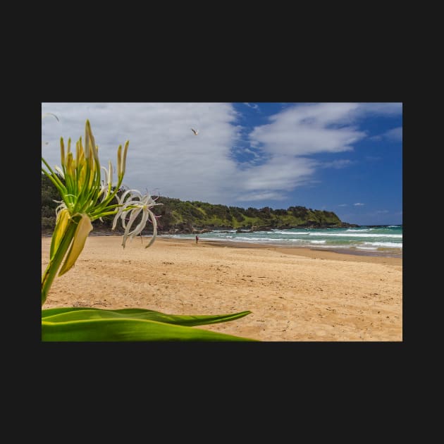 Korora Beach by Bevlyn