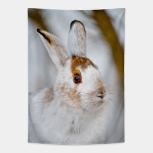 Show Shoe Hare Tapestry