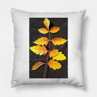 Forest Bathing with the Warmth of Autumn Leaves Pillow