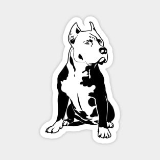 Black Pitbull Design Magnet