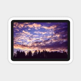 Sunset clouds and redwood trees Magnet