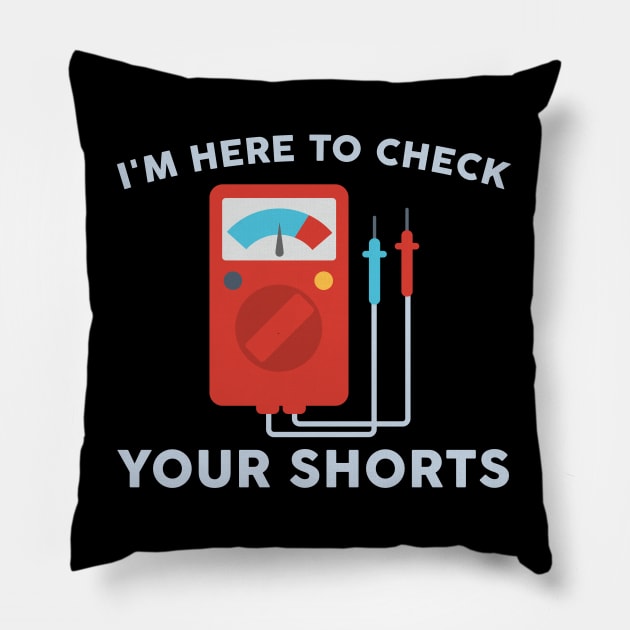 I'm Here To Check Your Shorts Pillow by TeeShirt_Expressive