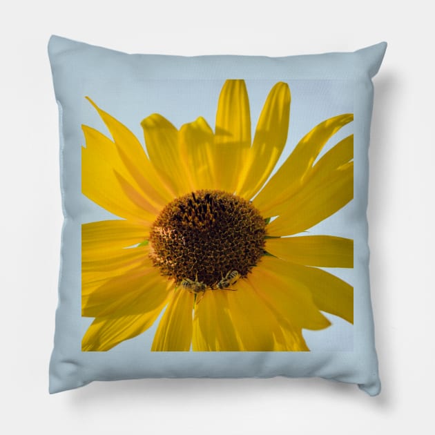 Giant Sunflower and Bees Pillow by Debra Martz